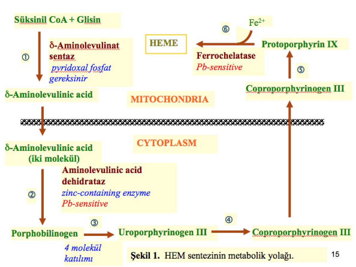 Macintosh HD:Users:huseyinesmer:Desktop:Ekran Resmi 2017-12-03 18.37.28.png